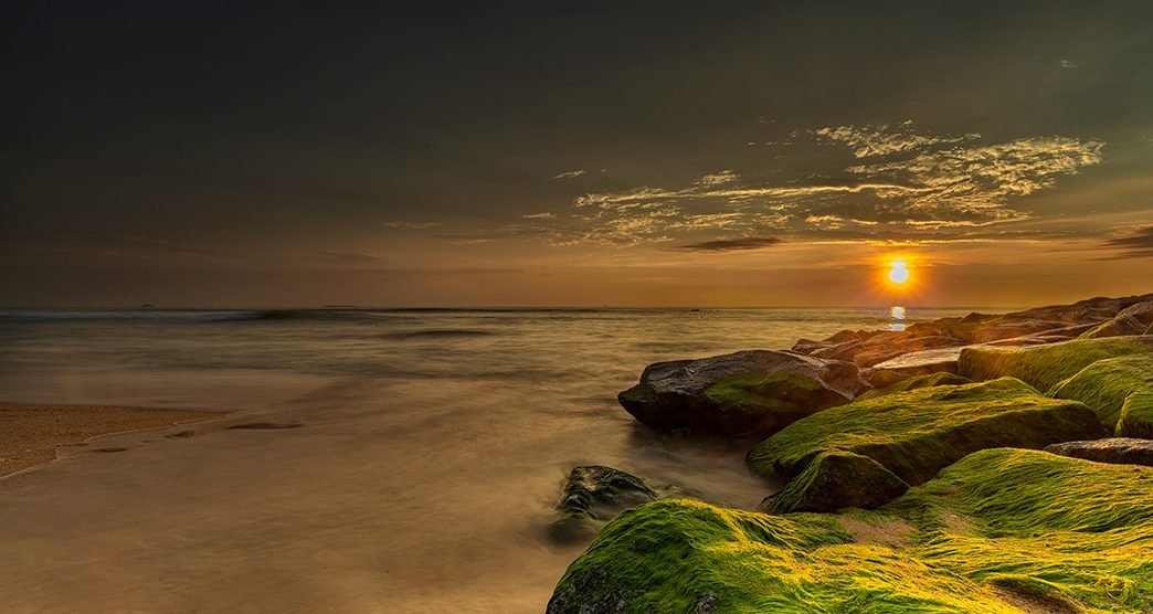 Beach landscape